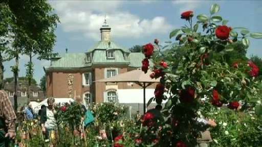Rosenpracht auf Schloss Clemenswerth