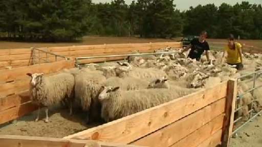 Neue Schaffanganganlage im Naherholungsgebiet 
