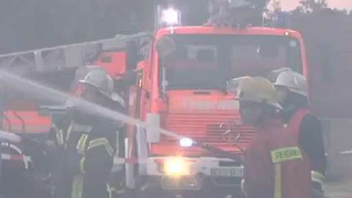 Feuerwehr rettet Kälber vor Flammentod