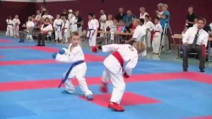 Niedersächsische Landesmeisterschaft Karate