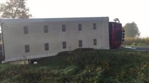 Putenlaster kippt in Rhede um