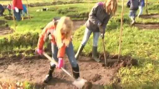 Schüler pflanzen ihren eigenen Wald