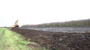 Wiedervernässung einer ehemaligen Torfabbaufläche in Adorf