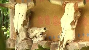 Leben wie vor 3000 Jahren auf dem Bronzezeithof