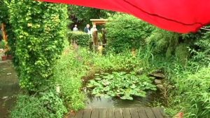 Naturgartenwettbewerb kürt den Gewinner