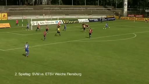 SV Meppen Sondersendung - Die Aufstiegssaison 2016/2017