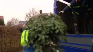 Adé Weihnachtsbaum! THW sammelt ausrangierte Bäume ein