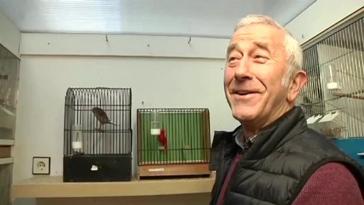Hoogsteder Vogelzüchter wird Weltmeister in Italien
