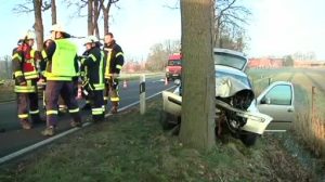 Fahrer verletzt: Auto prallt gegen Baum