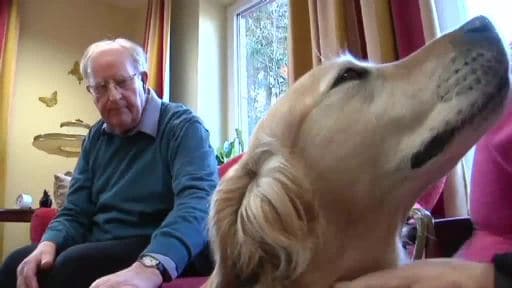 Therapiehund versüßt Senioren den Alltag