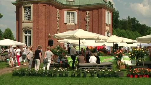 Tausende Besucher beim Rosenfest in Sögel