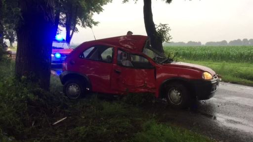 Autofahrer schwebt nach Baumunfall in Lebensgefahr