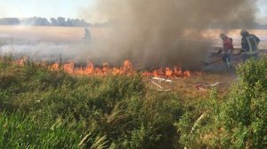 Stoppelfeld in Flammen