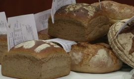 Lingener Brot-Test