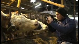 Muhender Netztipp: MyKuhTube