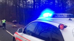 Reh stößt mit Motorrad zusammen