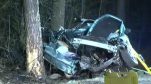 Autofahrer stirbt bei Baumunfall in Lage