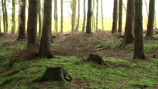 Standortsuche für Friedwald in Sögel