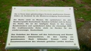 Neues Baumdenkmal in Meppen eingeweiht