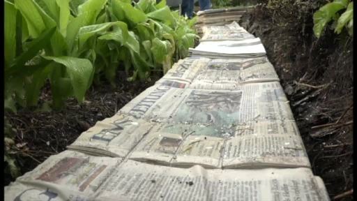 Herbrumer baut Mauer aus Zeitungen