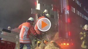 Screen_Tiertransporter faengt Feuer