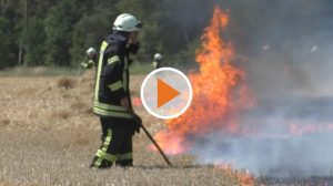 Screen_.Waldbrand Neuenkirchen