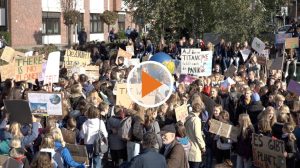 Screen_Fridays for future Lingen