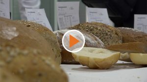 Screen_Neues Gesetz sorgt fuer Kopfschuetteln