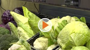 Screen_saisonale lebensmittel