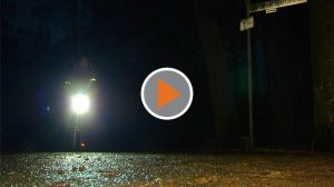 Screen_verkehrssicherheit im winter