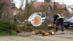Screen_erstes-sturmfazit-vom-landkreis-und-feuerwehren