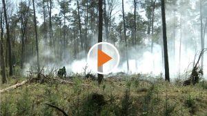 Screen_erhoehte-waldbrandgefahr-im-emsland