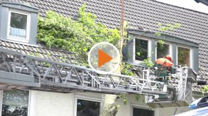 Screen_Haus auf Baum