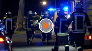 Screen_Hund und Mann