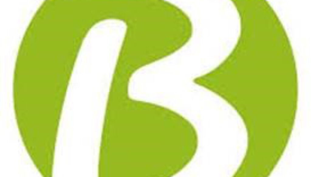 Logo Berning