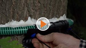 Screen_20 06 05 Fallen gegen EPS