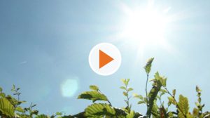 Screen_wackelt der deutsche Hitzerekord