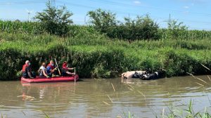 Screen_Kuehe im Wasser