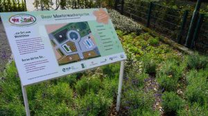 Screen_20 09 30 Muntermacher Garten Clusorth-Bramhar