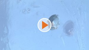 Screen_Unbekannter-schiesst-auf-Gaeste