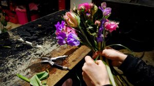 screen_Tausende im Emsland arbeiten zum Niedriglohn