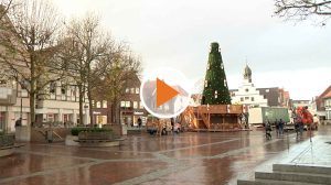 Screen_20 11 20 25 Meter hoher Weihnachtsbaum