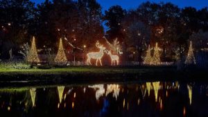 Screen_Tierpark Nordhorn