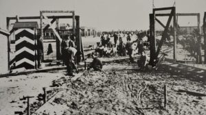 22_Symbolbild_Emslandlager