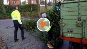 Screen_Weihnachtsbaumabholung in diesem Jahr