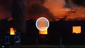 screen_Brand Wietmarschen Lohne Eine Person schwer verletzt