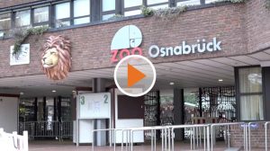 Screen_210222 Loewenangriff