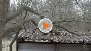 Screen_210312 Sturmtief Klaus