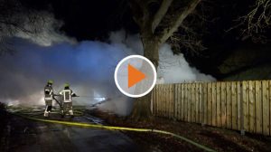 Screen_Schuppenbrand