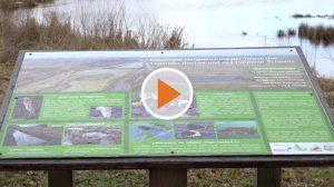 Screen_Spende an die Naturschutzstiftung